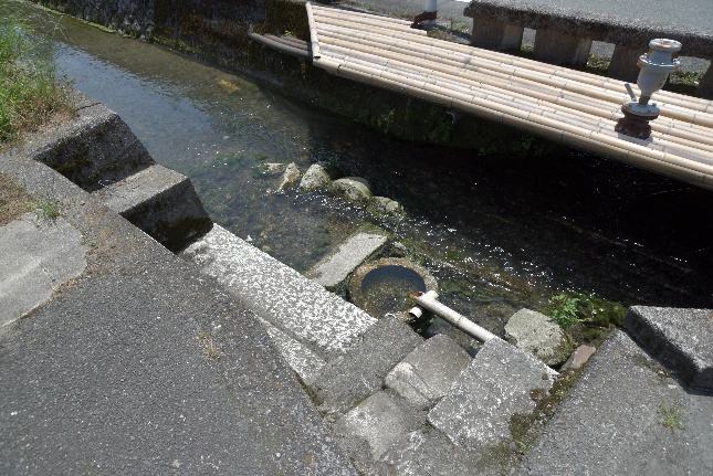 滋賀県針江集落のかばた（湧水路）