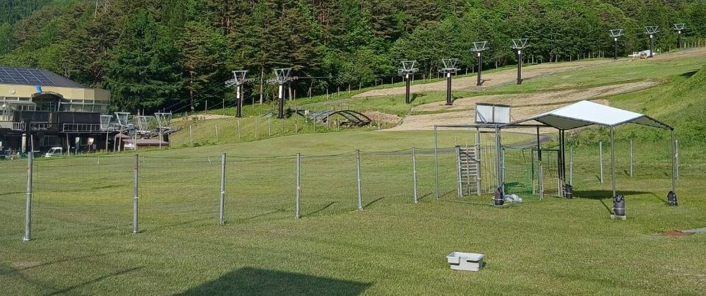 治部坂高原別荘地の緑につつまれた別荘環境